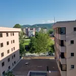 Stan Branka Ćopića, Borik